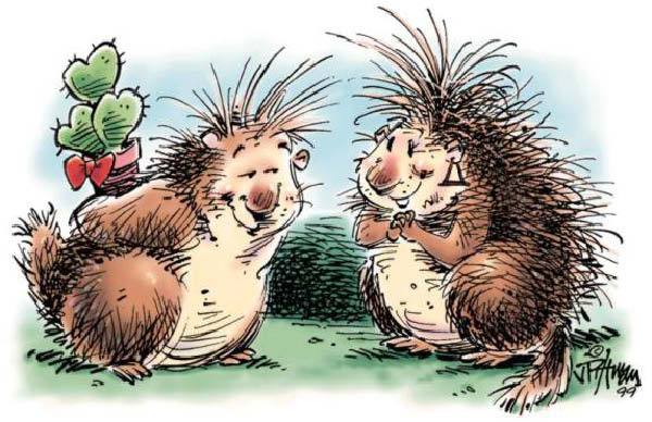 herisson 0001-humourenvrac